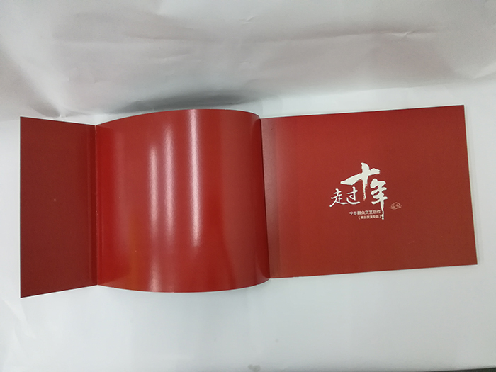 走過(guò)十年周年紀念畫(huà)冊印刷內容頁(yè)圖3